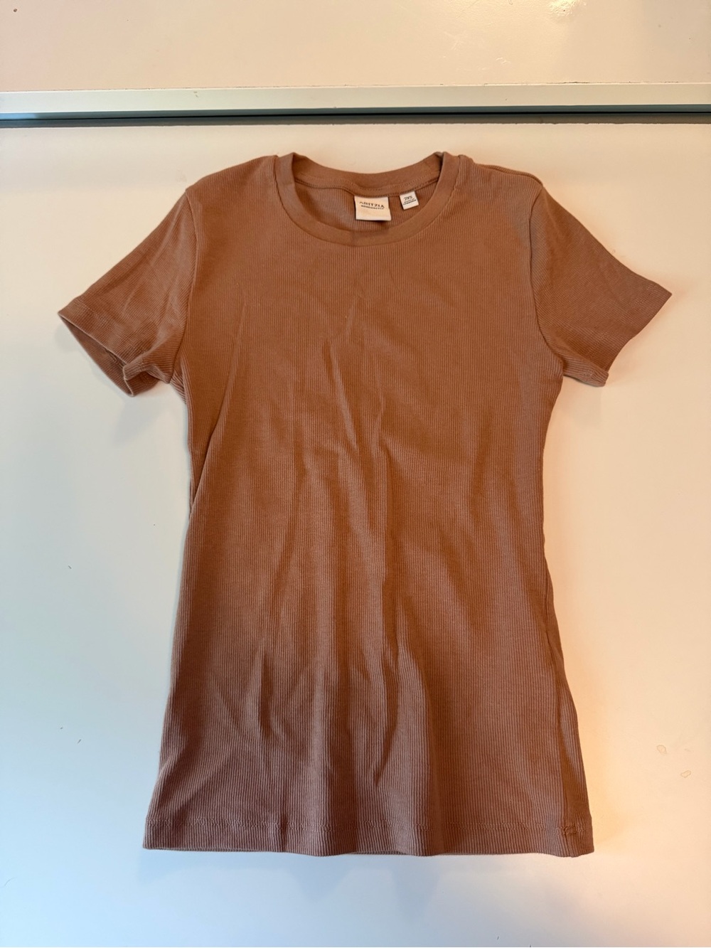 Aritzia Homestretch T Shirt